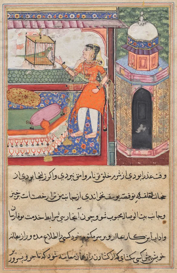The Parrot Addresses Khujasta at the Beginning of the Tenth Night, from a Tuti-nama (Tales of a Parrot), by Iqbal