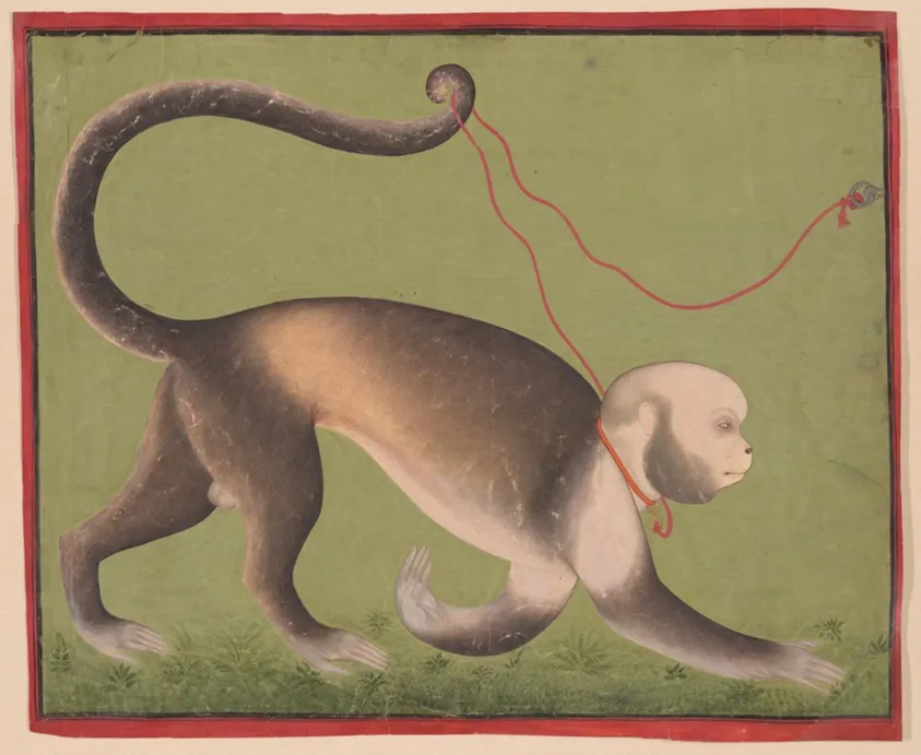 A Monumental Portrait of a Monkey, by Unknown artist