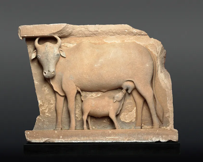 Cow Suckling a Calf, by Unknown artist